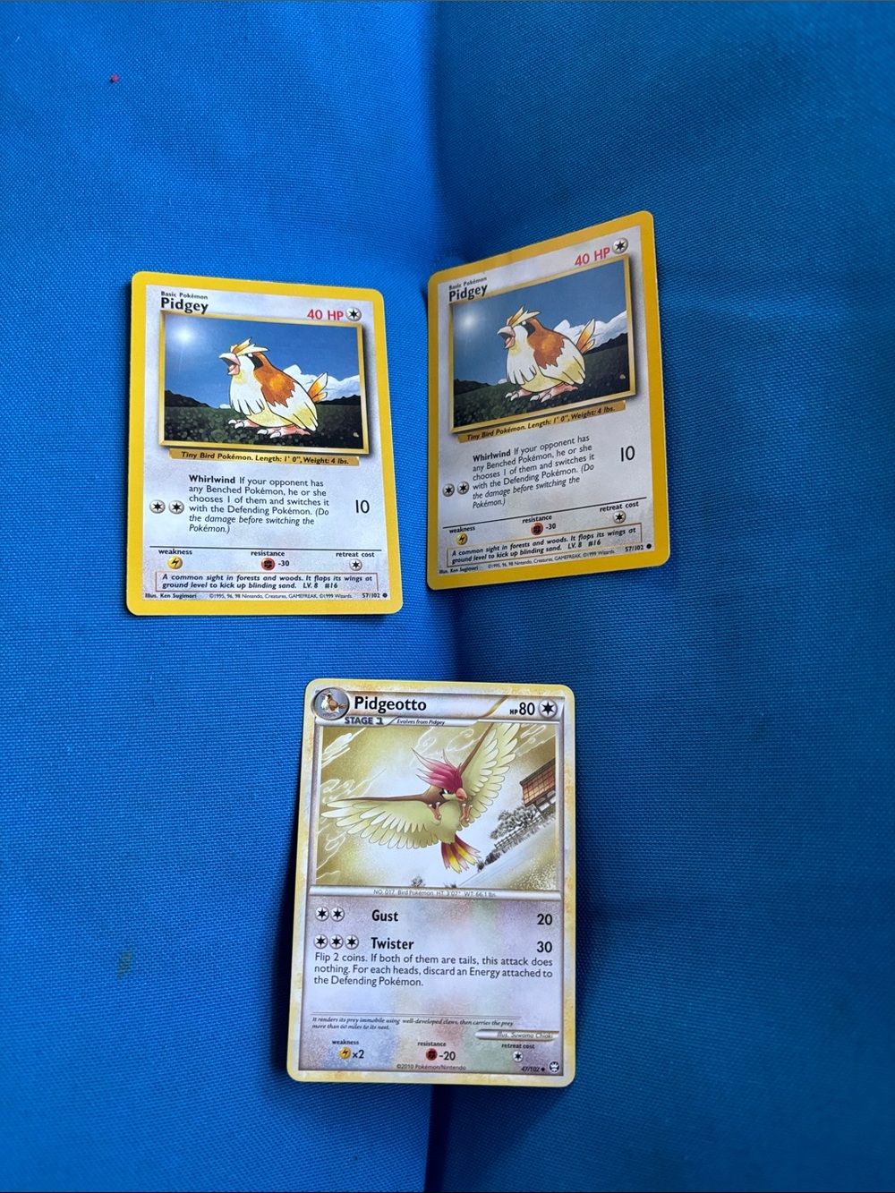 Pokémon Cards Pidgey HP 40 Pidgeotto HP 80 1995,1996,1998 2010 NWOTS Common Type